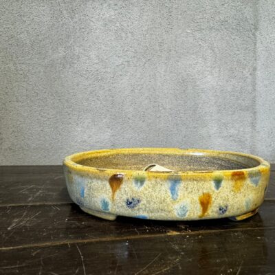 Vaso bonsai Satomi Herata cod. 6011
