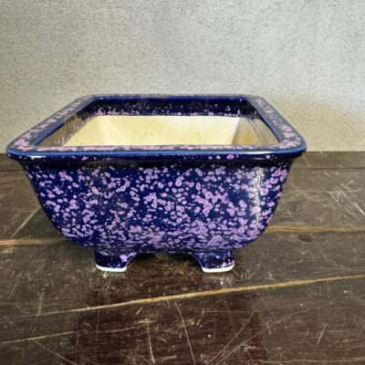 Vaso bonsai Senzan cod.S02 color blu e viola