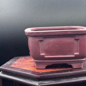 Vaso bonsai bigei cod.221