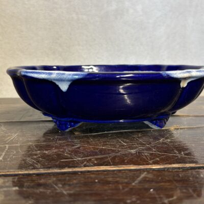 Vaso bonsai Satomi blu cod.6010