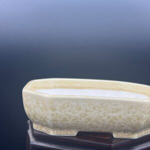 Vaso bonsai Seizan tokoname 16x13x4,5 color crema