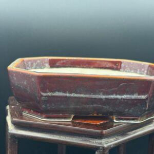 Vaso bonsai Seizan tokoname 16x13x4,5 color rosso scuro