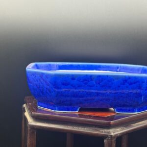 Vaso bonsai Seizan tokoname 16x13x4,5 color blu