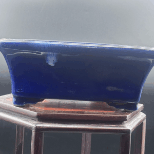 Vaso bonsai Satomi herata rettangolare blu