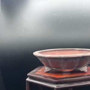 Vaso bonsai bigei 1