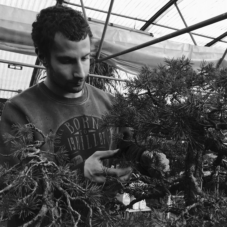 Mauro Brocchieri nel vivaio Paradise Bonsai